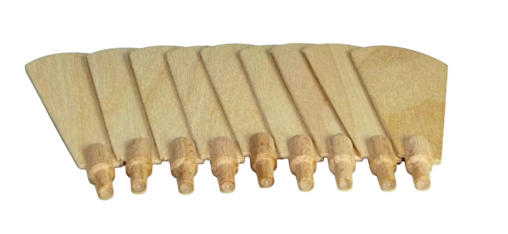 Kleiner Flügel (Stück) 28DAE527-B98D-4264-8B6A-B5D1182629A1.jpg